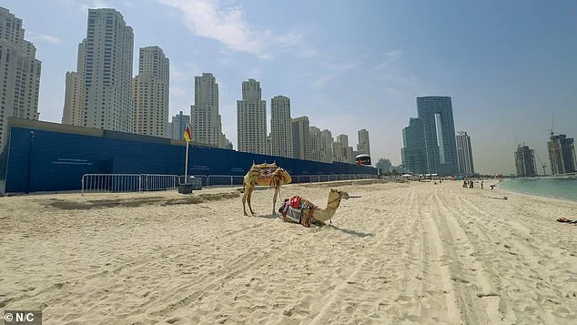 Ghost Town: How War has Transformed Dubai into an Abandoned Luxury Desert
