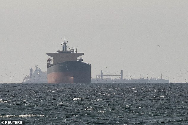 Iranian Blockade in Strait of Hormuz Threatens Global Energy Stability as Alliances Face Crucial Test