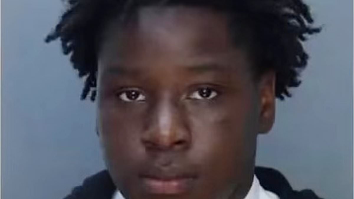 Three Teens Charged as Adults in Alleged Gang Rape of 12-Year-Old Girl in Miami