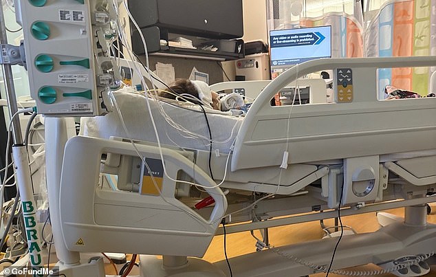 Four-Year-Old Girl Battles Life-Threatening Injuries After Swallowing Button Battery, Causing Severe Esophageal and Respiratory Damage