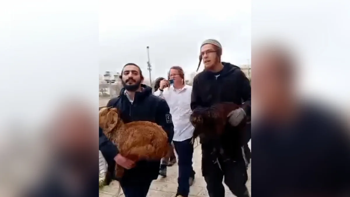 Israeli Men Attempt Controversial Passover Sacrifice at Al-Aqsa Mosque, Sparking Outcry