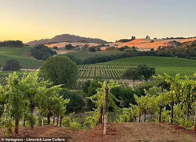 Karen DeGolia Purchases Winery Haunted by 1993 Murder-Suicide