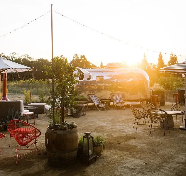 Lindsay Hoopes Faces $4 Million Fines in Legal Battle Over Napa Winery's 'Small Winery Exemption