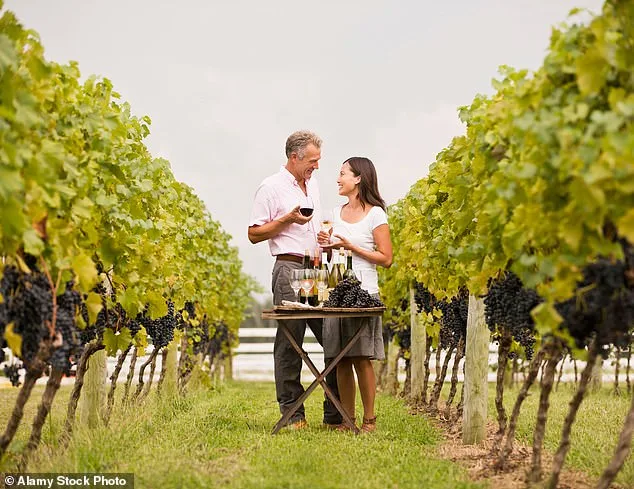 Lindsay Hoopes Faces $4 Million Fines in Legal Battle Over Napa Winery's 'Small Winery Exemption