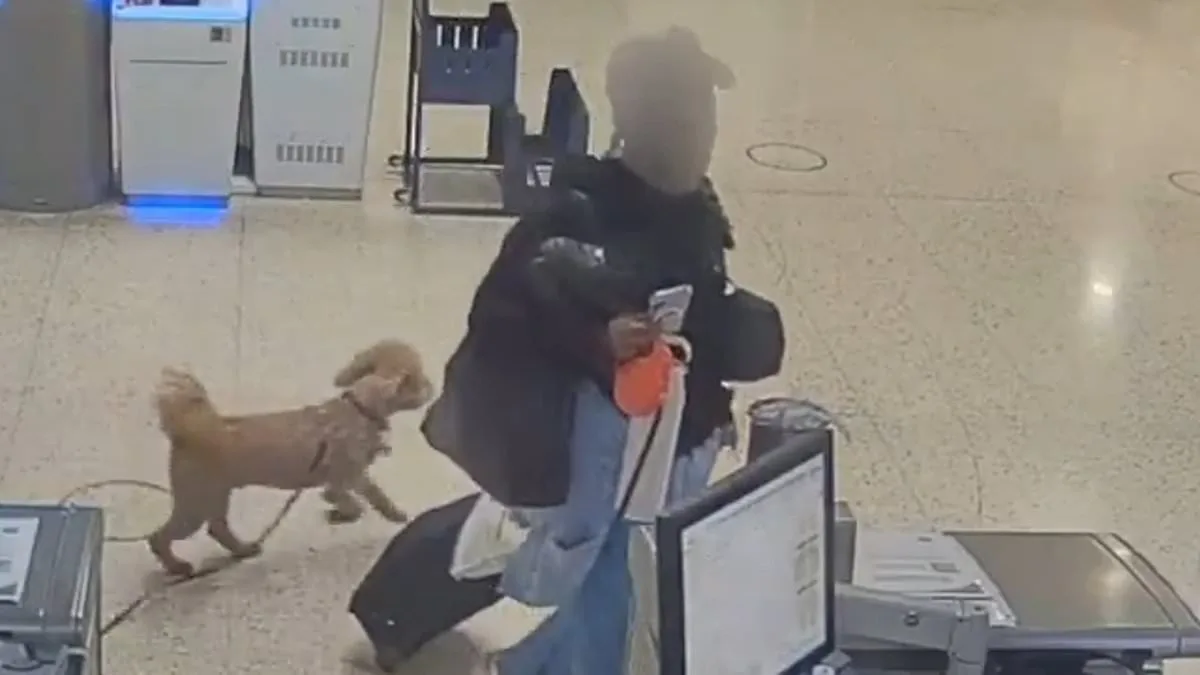 Woman Charged with Abandoning Service Dog at Las Vegas Airport After Being Denied Travel Permission