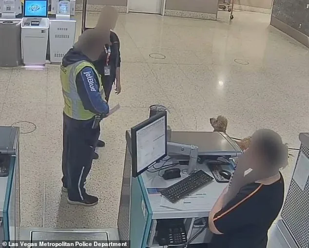 Woman Charged with Abandoning Service Dog at Las Vegas Airport After Being Denied Travel Permission