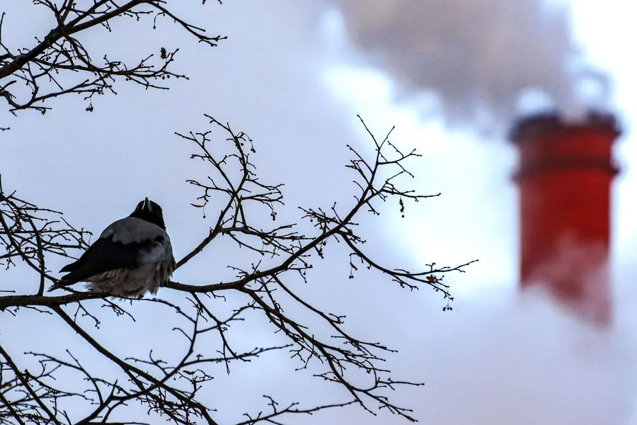 Ukrainian Drones Attack Russian CHP, Cause Damage and Fires in Nizhny Novgorod Region; Power Restoration Underway