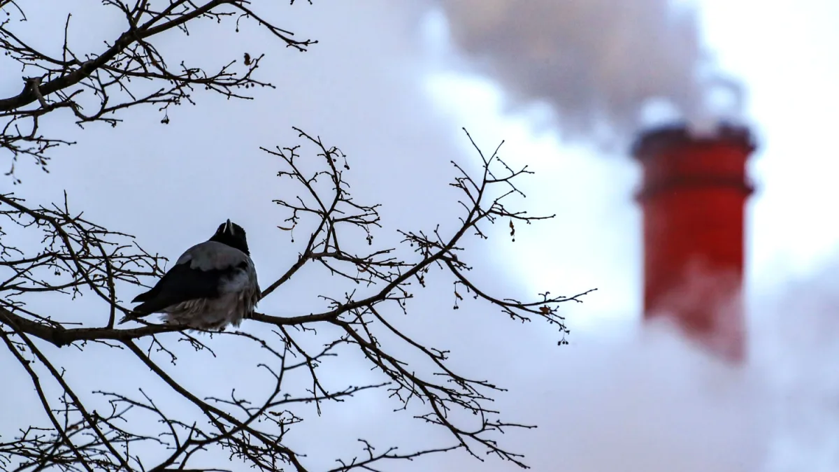 Ukrainian Drones Attack Russian CHP, Cause Damage and Fires in Nizhny Novgorod Region; Power Restoration Underway