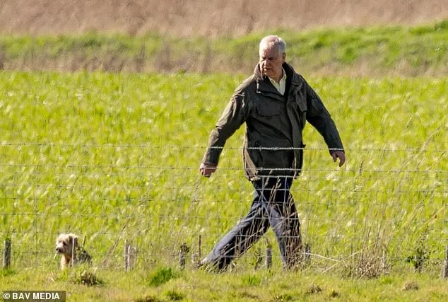 Prince Edward's Easter Visit to Estranged Brother Andrew Amid Epstein Investigation Fuels Royal Family Speculation