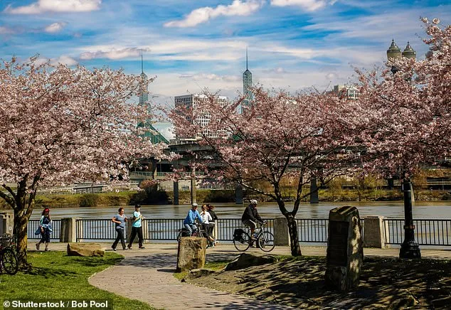 Teen Survives High-Speed Police Chase Crash Into Portland River, Three Killed