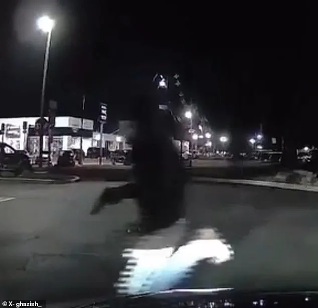 Deadly Shooting at NJ Chick-fil-A: One Killed, Six Injured in Chaotic Attack