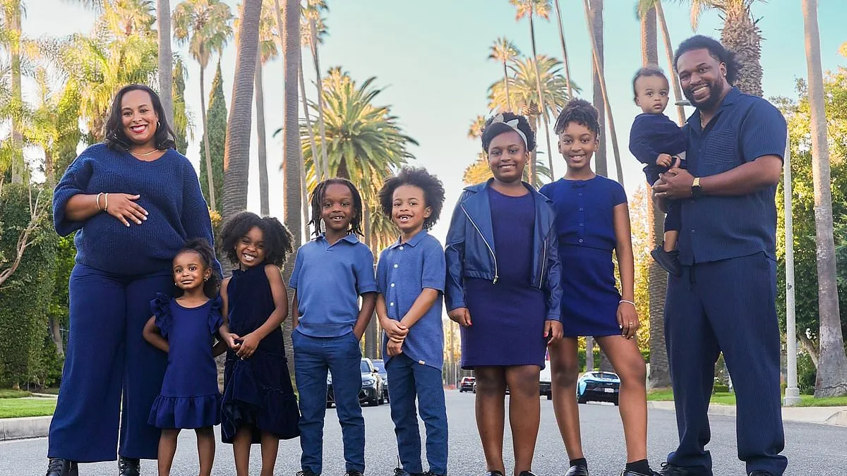 Hit-and-Run Crashes North Hollywood Family, 10 People Affected.