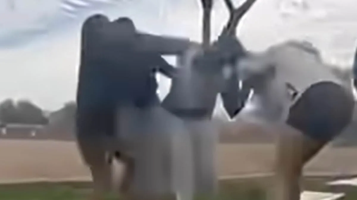 Maricopa High School Students Attacked During Protest; Sisters Injured