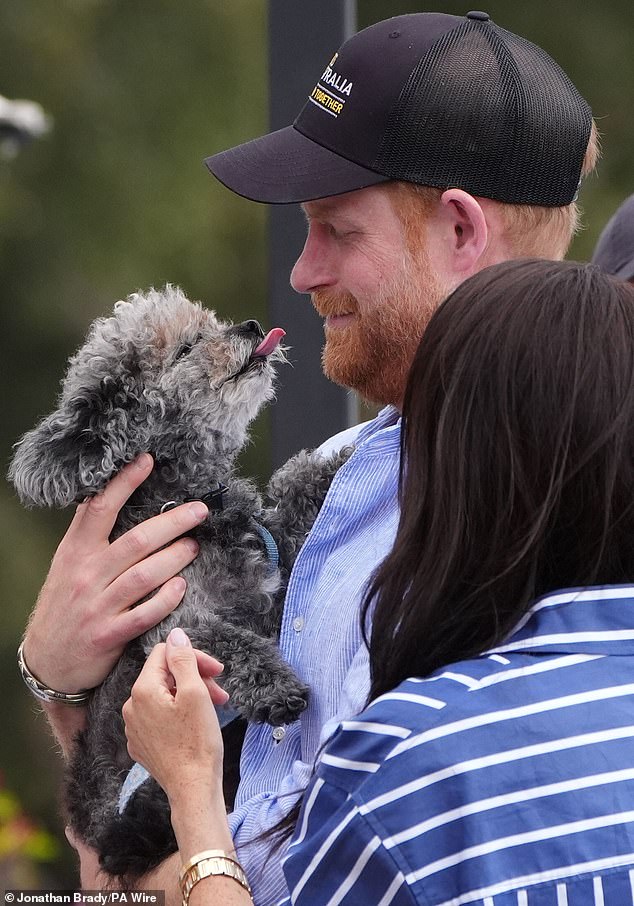 Poll: Five in five Brits oppose Sussexes profiting from royal titles.