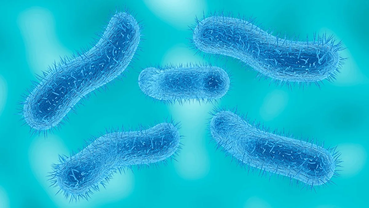 Shigella Diarrhea Resists All Antibiotics: CDC Warns.