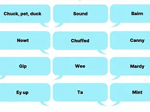 Swear Word Census: UK's Regional Insults in Peril
