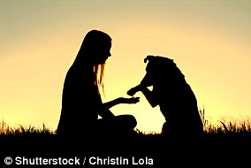 Small dog attacks shatter myths, killing young girl in Essex.