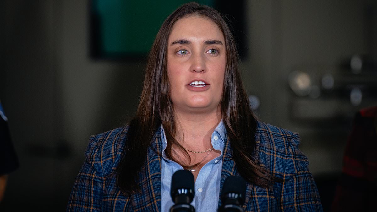 Former ICE Deputy Director Madison Sheahan faces new abuse allegations.