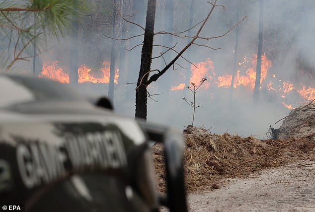 Volunteer firefighter dies from medical emergency while battling deadly Florida wildfires