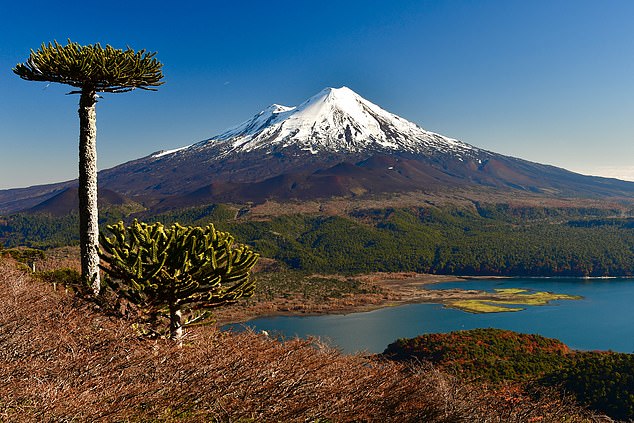 Birthday climber dies after falling 2,000 feet on Chile volcano.