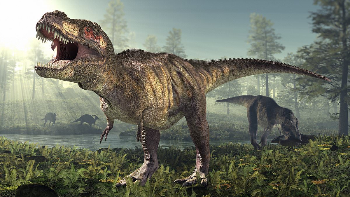 Tiny T-Rex Arms Vanished As Massive Skulls Took Over
