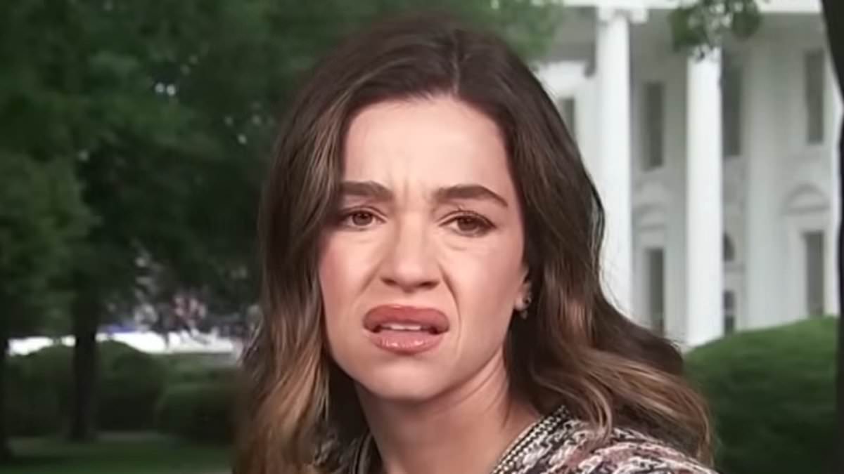 Correspondent Julie Tsirkin Pauses to Ask 'What Is That?' During White House Shooting