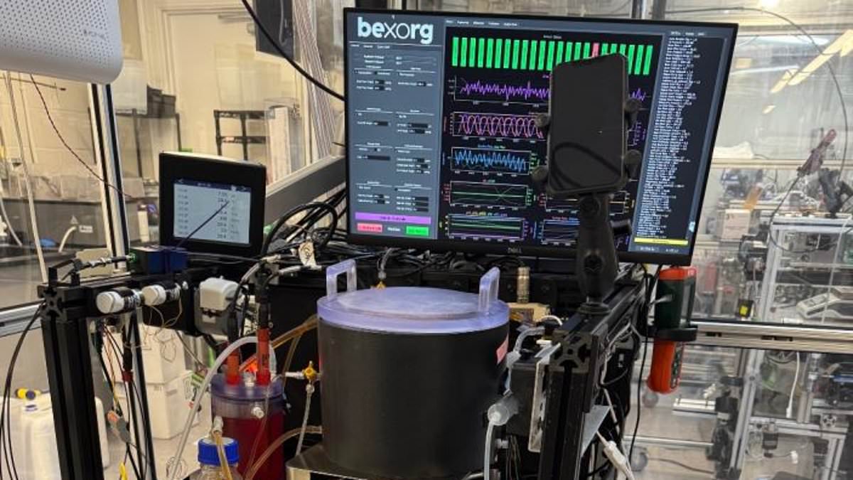 Startup Bexorg Keeps Human Brains Alive for Drug Testing