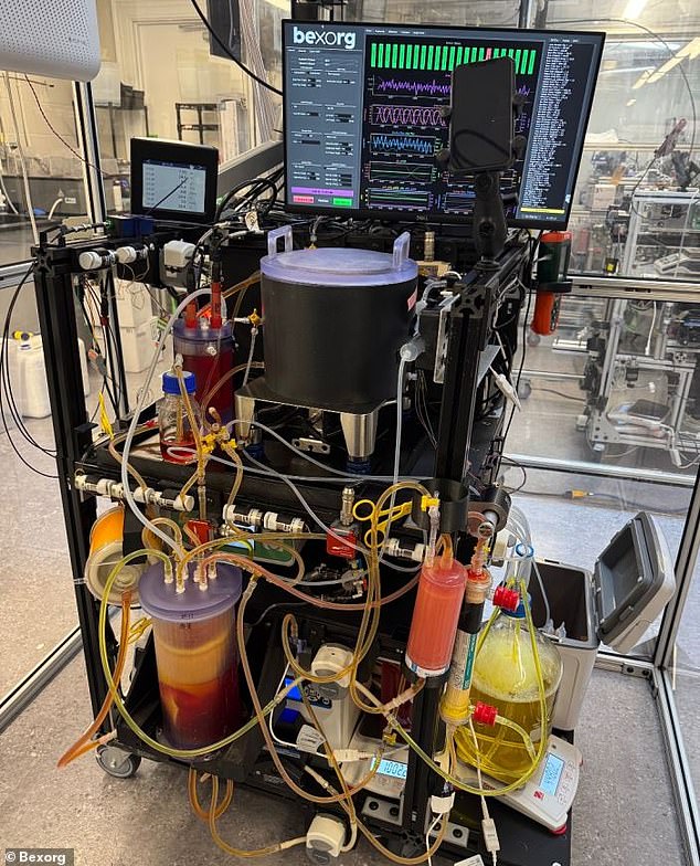 Startup Bexorg Keeps Human Brains Alive for Drug Testing