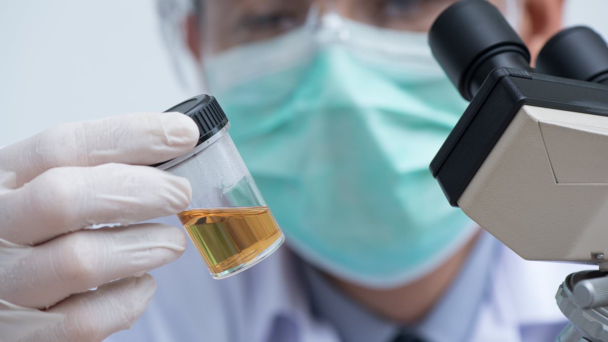 Groundbreaking urine test could detect lung cancer years before symptoms appear.