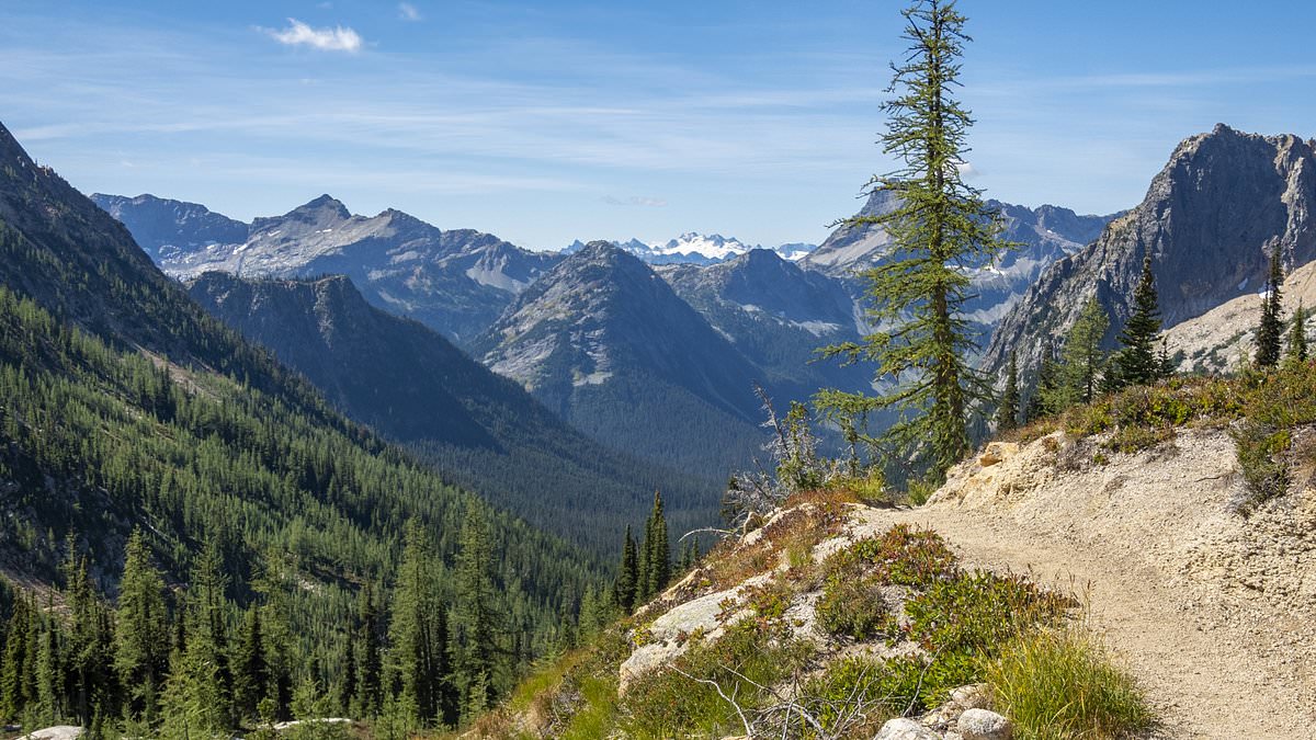 Dozen Hikers Ill with Suspected Norovirus on California Pacific Crest Trail