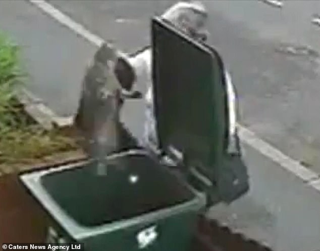 Mary Bale's cat cruelty turned her into a global pariah recluse.