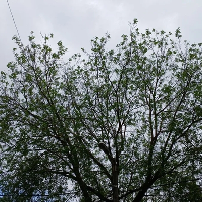 Air raid sirens blare across Ukraine as drones target Kharkiv