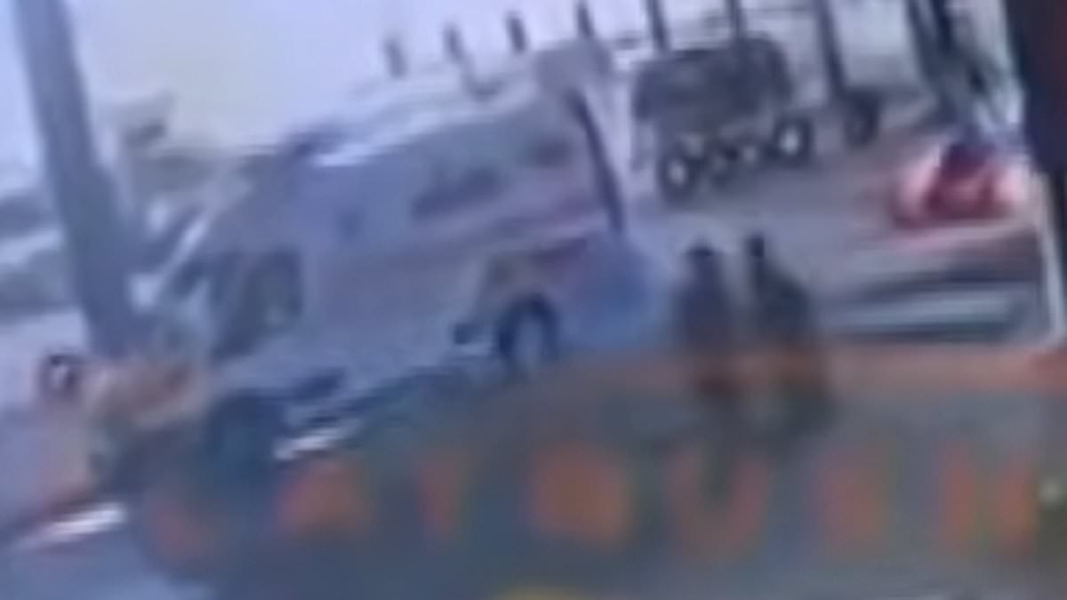 Seven men emerge from Brooklyn sewer, police investigate chaotic scene.