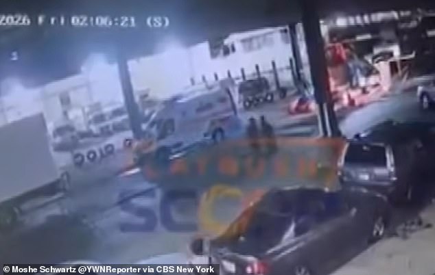Seven men emerge from Brooklyn sewer, police investigate chaotic scene.