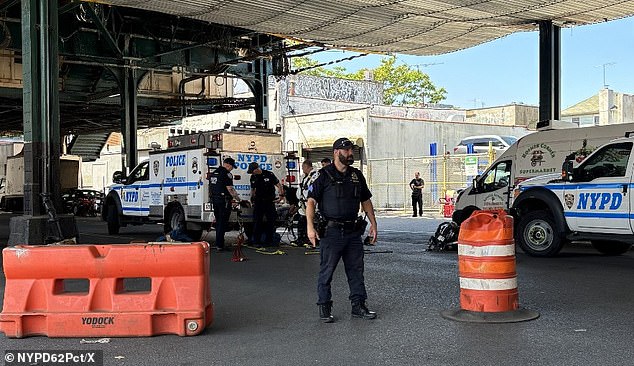 Seven men emerge from Brooklyn sewer, police investigate chaotic scene.