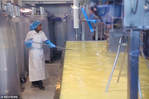Whey protein shortage forces manufacturers to reformulate recipes and halt production.