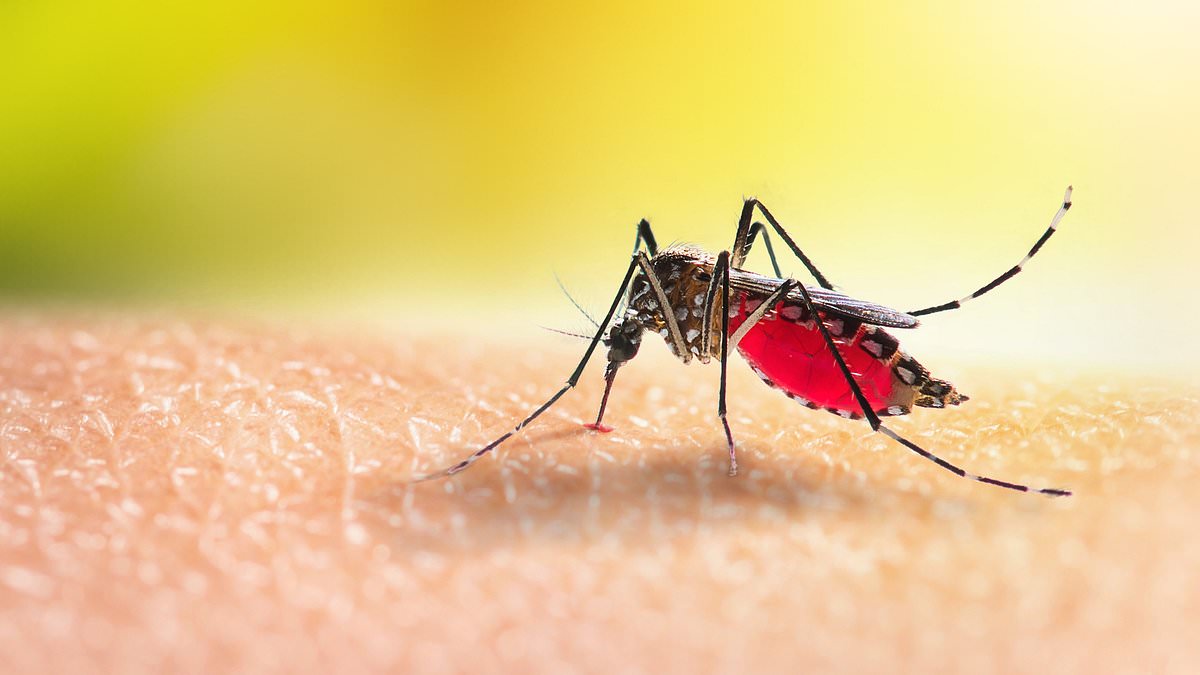 UK warns travelers: Rapid rise in Zika cases threatens returning Britons