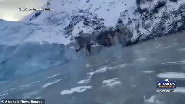 Alaska Glacier Collapse Leaves Two Stranded, Caught on Camera