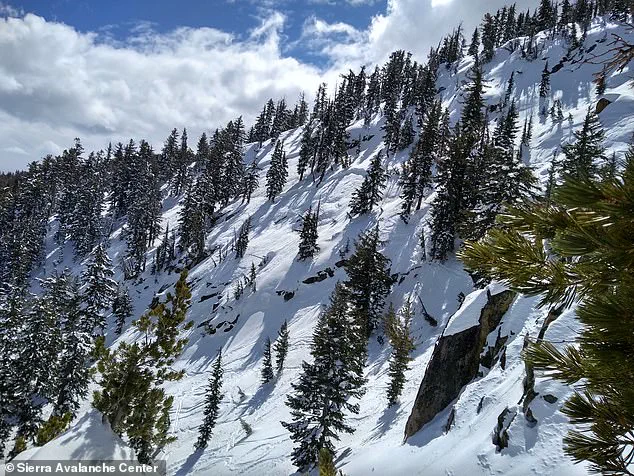 Backcountry Skiing Tragedies Claim Three Lives on the West Coast