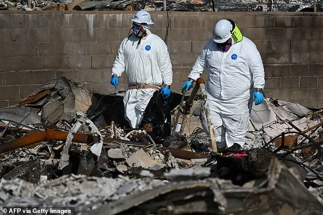 Devastating wildfire leaves Los Angeles in ruins with no attempts at cleanup or rebuilding