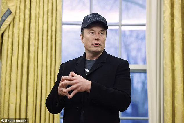 Elon Musk's Role in the White House Under Scrutiny