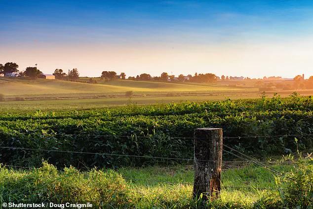 Trump's Actions Impact American Farmers