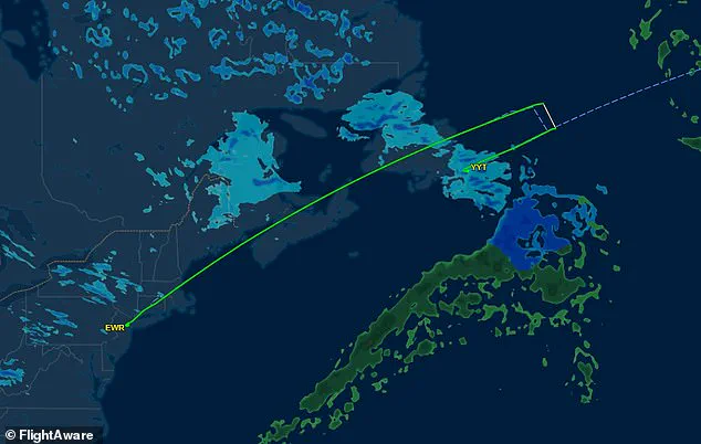 United Airlines Flight Diverts to St. John's International Airport Due to Medical Emergency