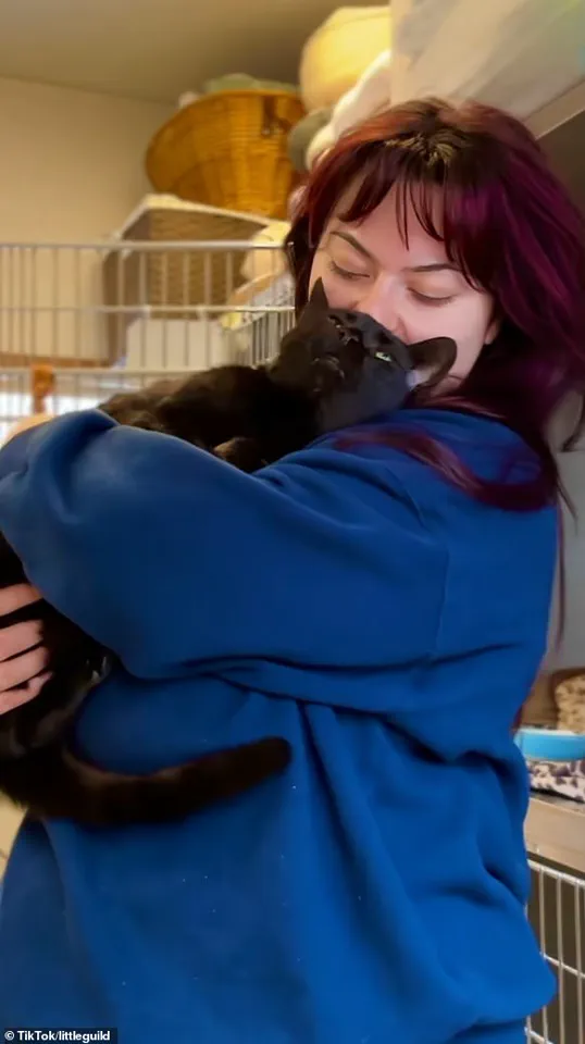 Viral TikTok Video Shows Heartwarming Story of 'Too Affectionate' Black Cat