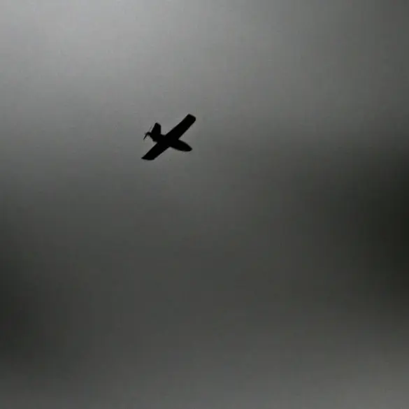 Russian Forces Intercept and Destroy Three Ukrainian Drones Over Bryansk