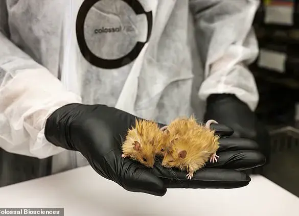 Scientists Create 'Woolly Mice' Using mammoth DNA