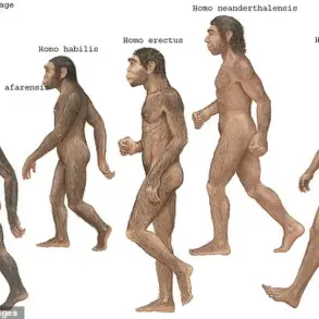 Scientists Unveil Hidden Chapter in Human Evolution: Evidence of Multiple Ancestral Populations