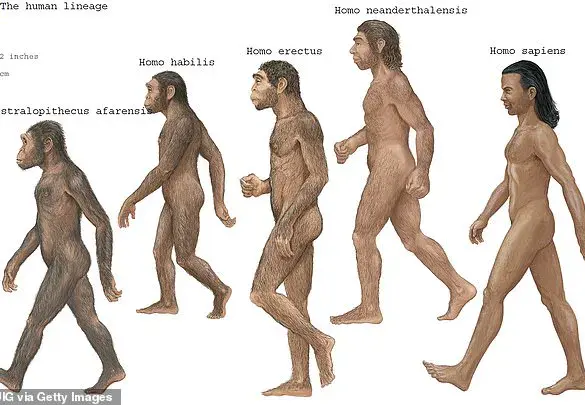 Scientists Unveil Hidden Chapter in Human Evolution: Evidence of Multiple Ancestral Populations