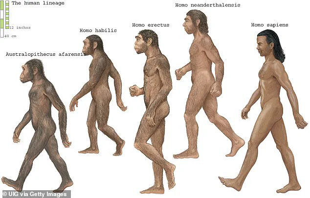 Scientists Unveil Hidden Chapter in Human Evolution: Evidence of Multiple Ancestral Populations