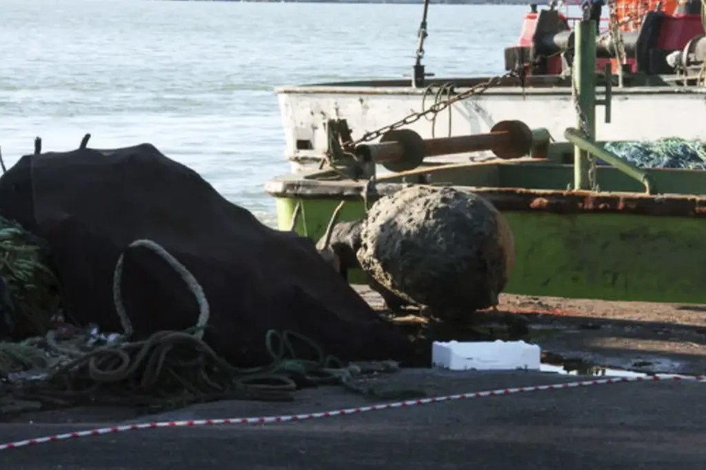 Turkish Defense Team Neutralizes Sea Mine Off Black Sea Coast